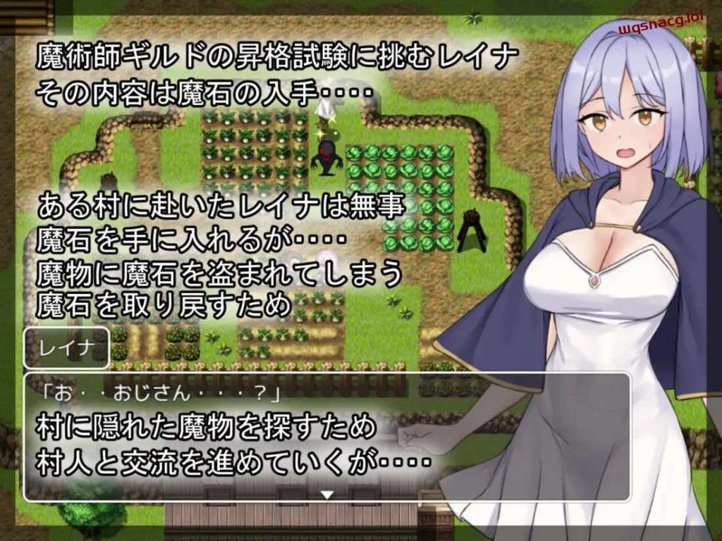 [探索RPG] 蕾娜的魔石和晋升考试 レイナの魔石と昇格試験 AI汉化版500M游戏中文版下载|无需安装解压即玩_怀旧游戏网