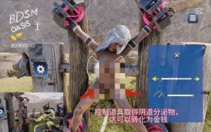[3D互动/全动态/PC] BDSM Oasis 绿洲 官方中文步兵版 3.5G游戏中文版下载|无需安装解压即玩_怀旧游戏网