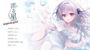 [拔作ADV] 流星-a wish star 流る星 v1.0 Steam官方中文+CG1.8G游戏中文版下载|无需安装解压即玩_怀旧游戏网