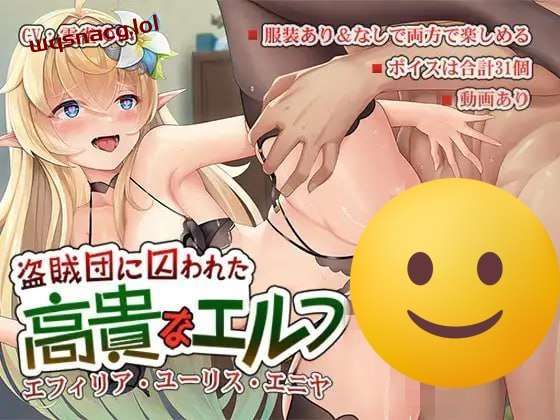 [日式SLG] 盗賊団に囚われた高貴なエルフ 日文版 400M游戏中文版下载|无需安装解压即玩_怀旧游戏网