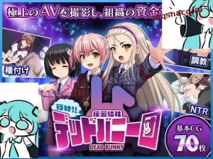 [经营SLG] 行吧！！秘密结社死番兔团 行け!! 秘密結社デッドバニー団 AI汉化 [1G]游戏中文版下载|无需安装解压即玩_怀旧游戏网